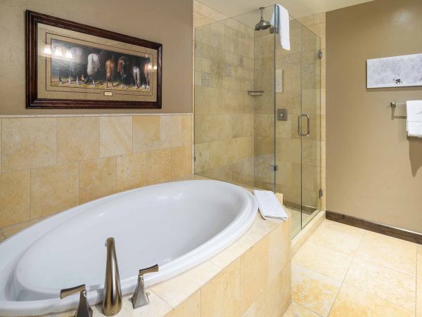 Steamboat Springs Condo 950394