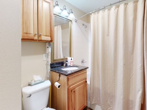Breckenridge Condo 950396