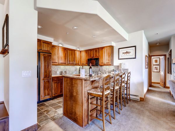 Steamboat Springs Condo 950400