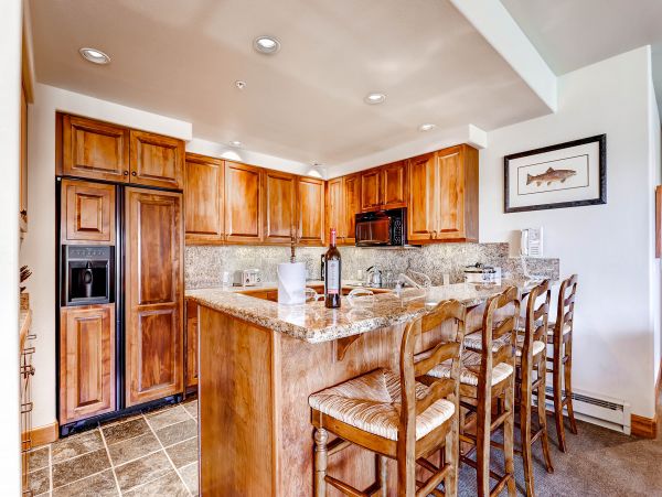 Steamboat Springs Condo 950400