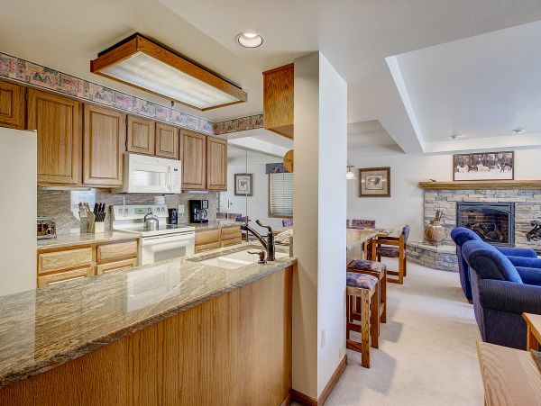 Steamboat Springs Condo 950403