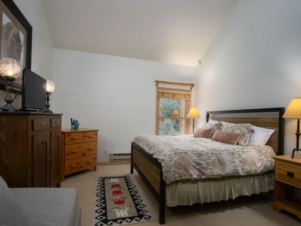 Steamboat Springs Condo 950406
