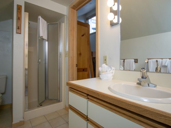 Steamboat Springs Condo 950406
