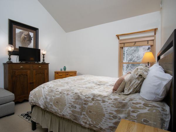 Steamboat Springs Condo 950406