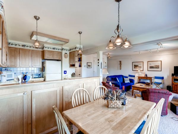 Steamboat Springs Condo 950412