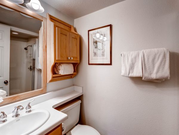 Steamboat Springs Condo 950412