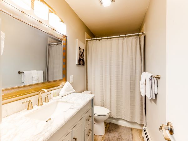 Breckenridge Condo 950414