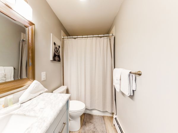 Breckenridge Condo 950414