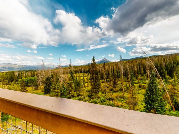 Breckenridge Condo 950414