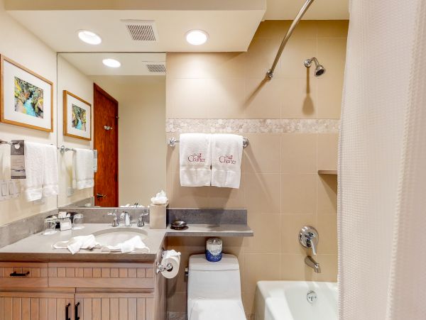Beaver Creek Bachelor Gulch Condo 950417