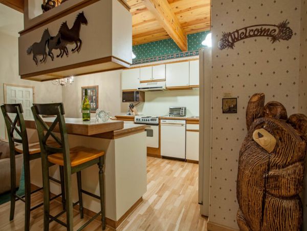 Steamboat Springs Condo 950420