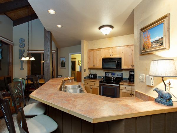 Steamboat Springs Condo 950425