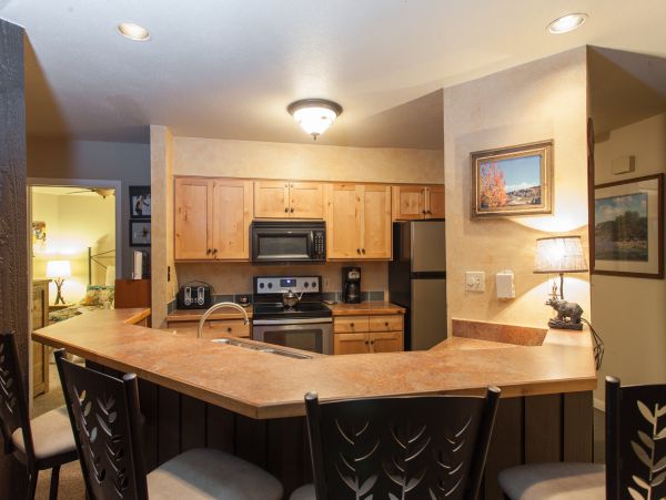 Steamboat Springs Condo 950425