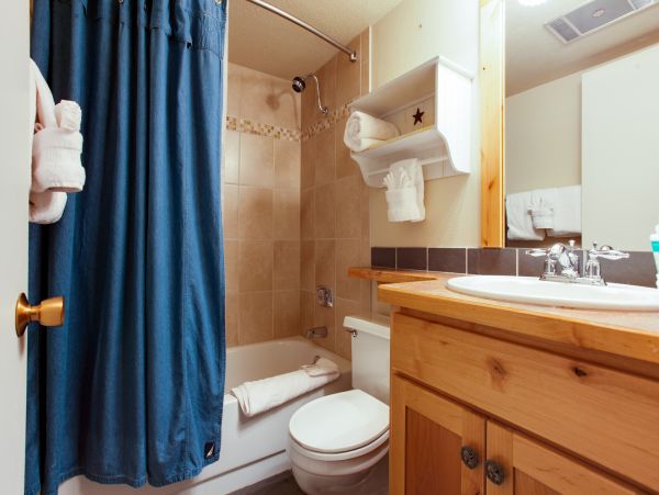 Steamboat Springs Condo 950425