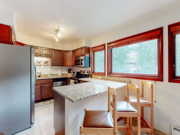 Vail Lionshead Condo 950429