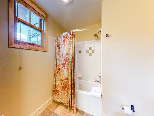 Breckenridge Condo 950431