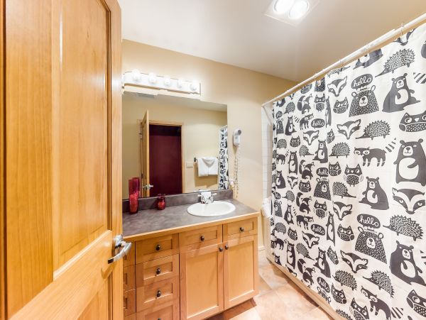 Breckenridge Condo 950431