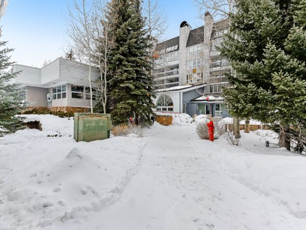 Breckenridge Condo 950436