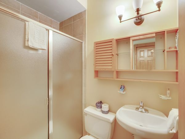 Breckenridge Condo 950442