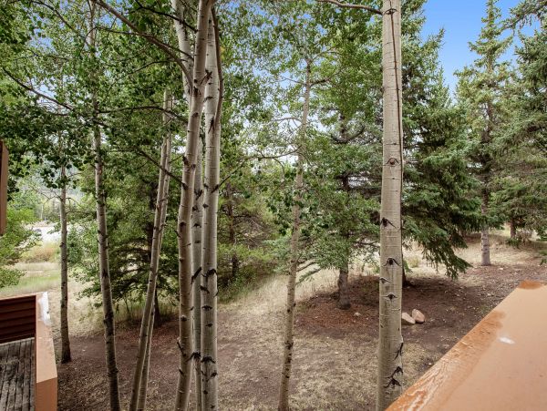 Breckenridge Condo 950442