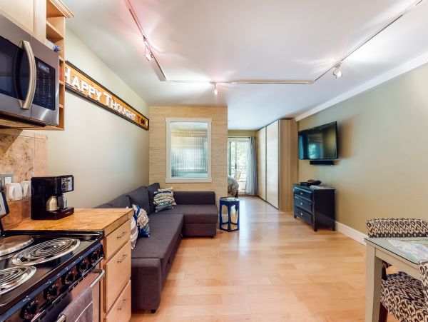 Telluride Condo 950447