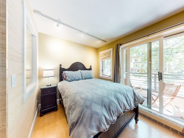 Telluride Condo 950447