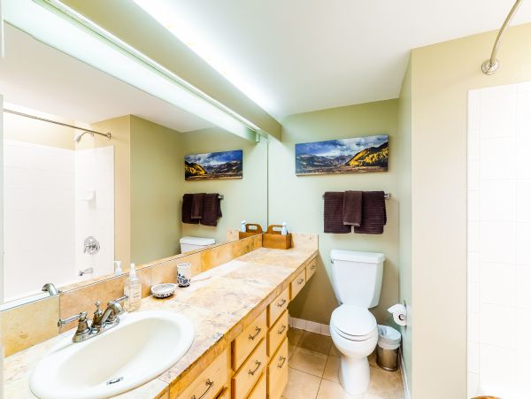 Telluride Condo 950447