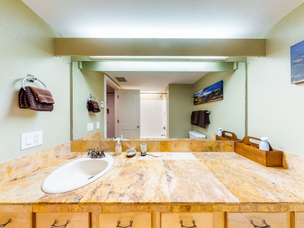 Telluride Condo 950447