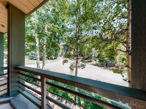 Telluride Condo 950447