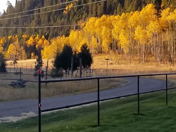 Breckenridge Home 950449