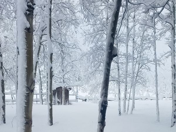 Breckenridge Home 950449