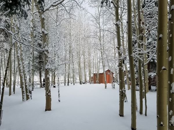 Breckenridge Home 950449