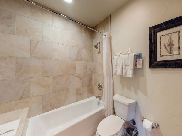 Breckenridge Condo 950451