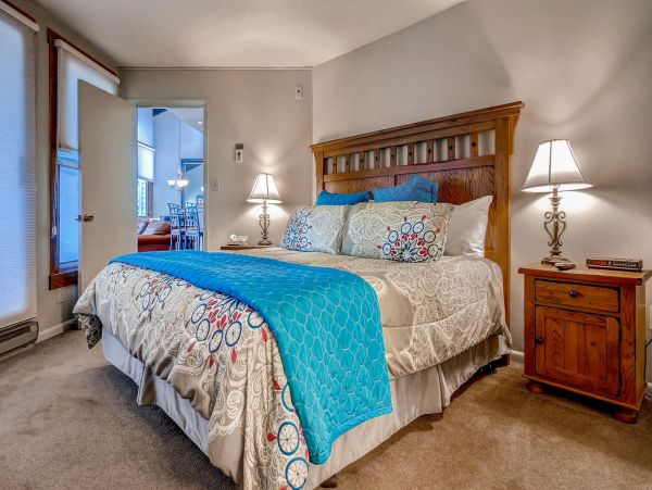 Steamboat Springs Condo 950462