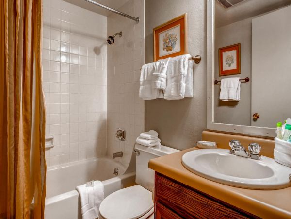 Steamboat Springs Condo 950462