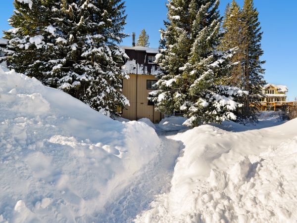 Winter Park Condo 950463