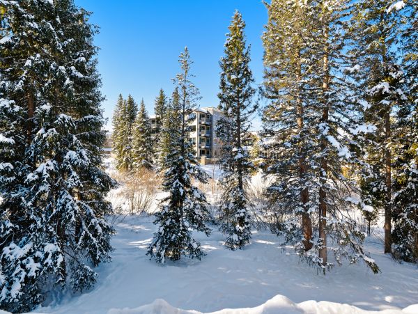 Winter Park Condo 950463