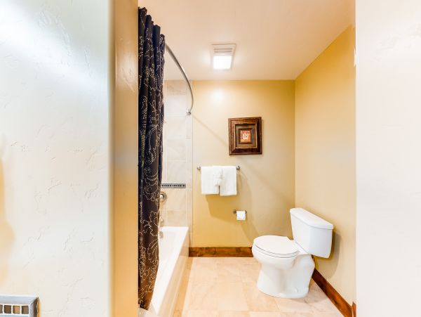 Breckenridge Condo 950471