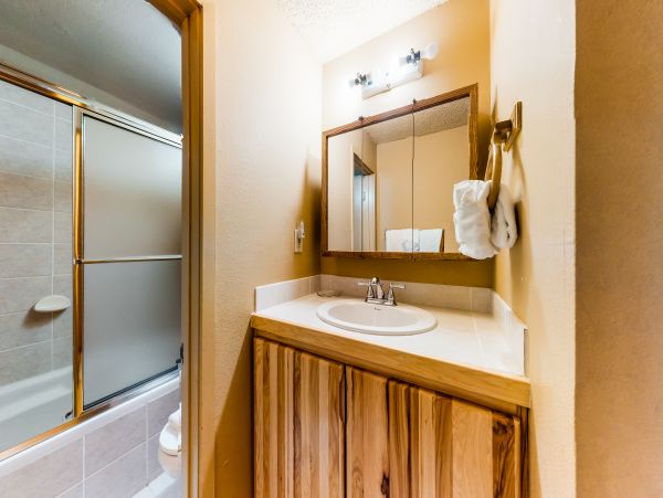 Breckenridge Condo 950475