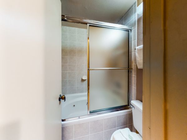 Breckenridge Condo 950475