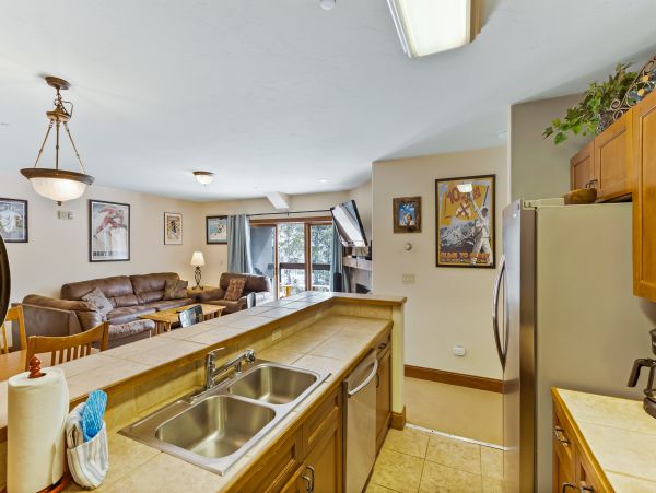 Breckenridge Condo 950477