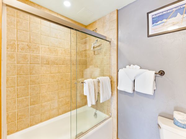 Breckenridge Condo 950477