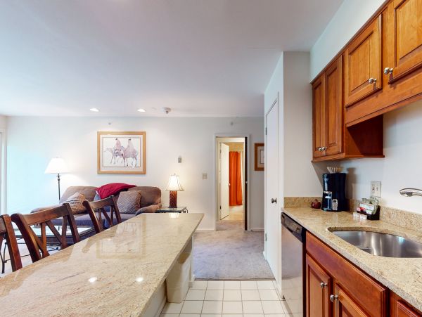 Vail Lionshead Condo 950479
