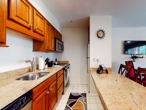Vail Lionshead Condo 950479