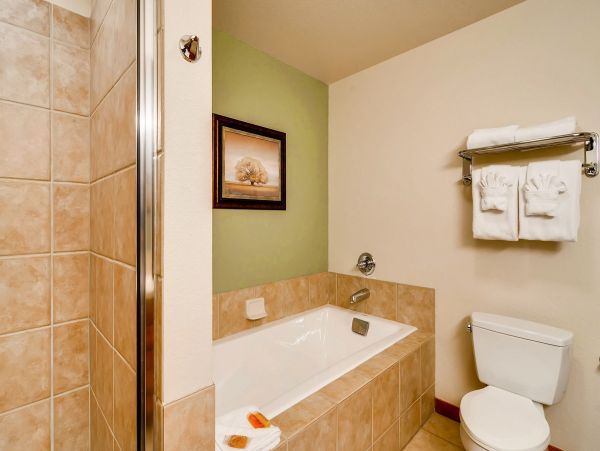 Breckenridge Condo 950480