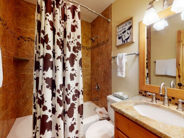 Steamboat Springs Condo 950481