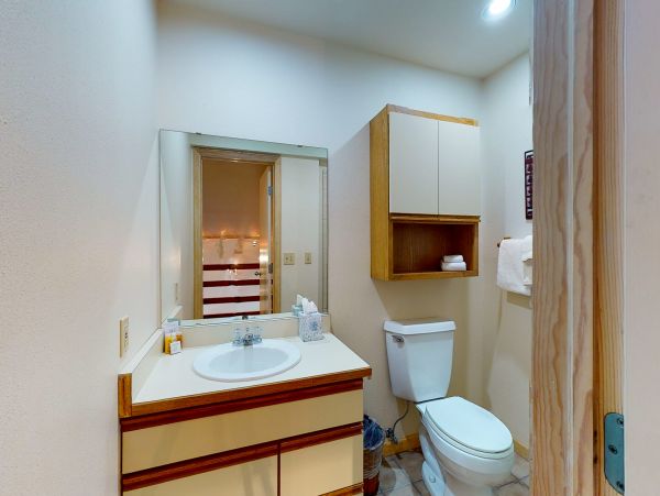 Steamboat Springs Condo 950481