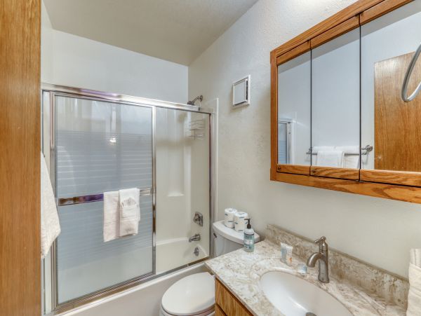 Breckenridge Condo 950487