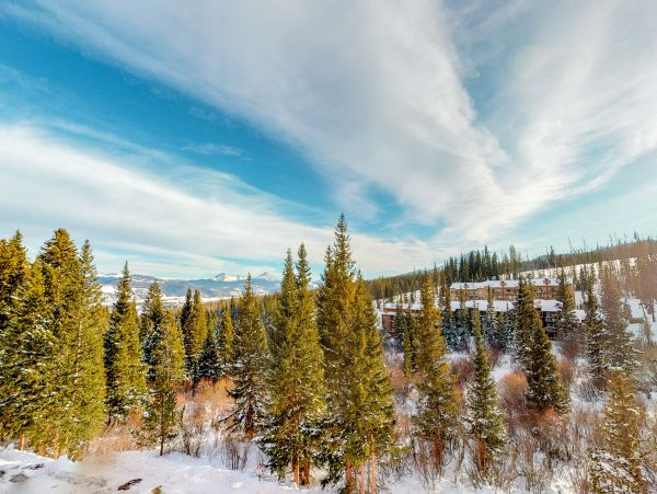 Breckenridge Condo 950487