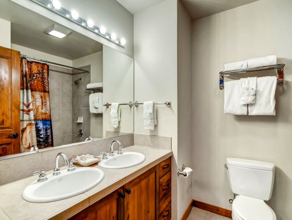 Breckenridge Condo 950494